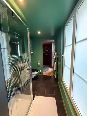 a green bathroom with a shower and a toilet at RR Suite in Antwerp