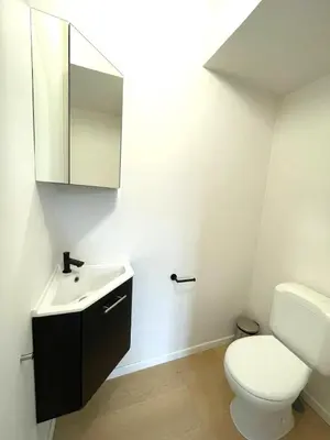a bathroom with a toilet and a sink and a mirror at Brussels Toison D'or residence in Brussels