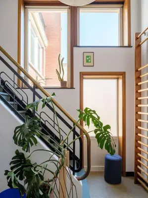 a staircase with two windows and a potted plant at Art-deco woning Gent in Ghent