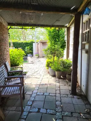 a patio with a wooden bench and some plants at Het Horzelend, oase van rust in een fietsparadijs in Retie