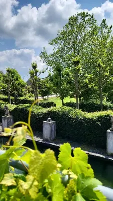 a view of a garden with trees and a pond at Het Horzelend, oase van rust in een fietsparadijs in Retie