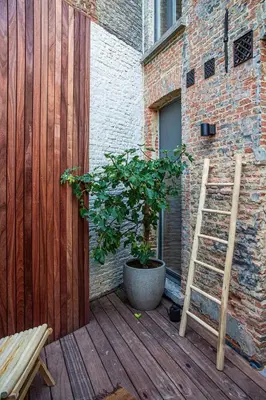 a wooden deck with a potted plant and a ladder at Perfect-Stay in Antwerp
