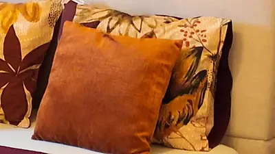 two pillows sitting on top of a couch at Holiday in de kempen in Turnhout