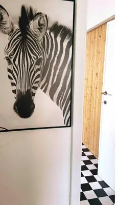 a picture of a zebra hanging on a wall at Cosy place near Atomium with parking in Vilvoorde