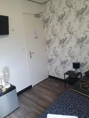 a bedroom with a wall with a dinosaur wallpaper at De Baolse Herberg in Baarle-Hertog