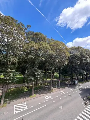 an empty street with trees on the side of the road at Studio Nour in Brussels