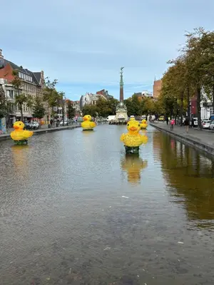 three yellow ducks in a river in a city at Sublime appartement au centre de Bruxelles in Brussels