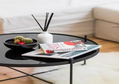 a coffee table with a book and a bowl of cactus at Charming house in city center in Antwerp