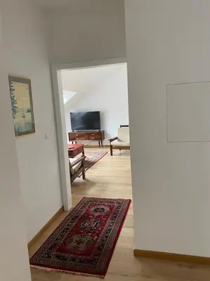 a hallway with a living room with a rug at Apartment Antwerp City center #003 in Antwerp