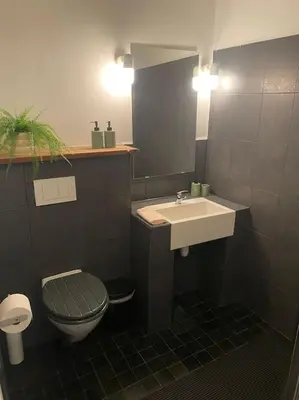 a bathroom with a sink and a toilet at Studio Richard in Antwerp