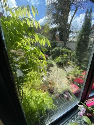 a view of a garden from a window at The Museum - Au Lit, Jérôme! in Antwerp