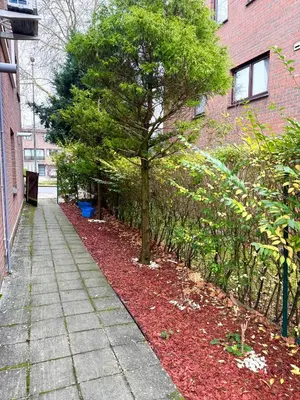 a tree on a sidewalk next to a building at Studio situé à Woluwe-Saint-lambert in Brussels