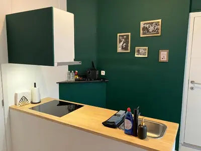 a kitchen with a sink and a green wall at Living History - Suikernest in Antwerp