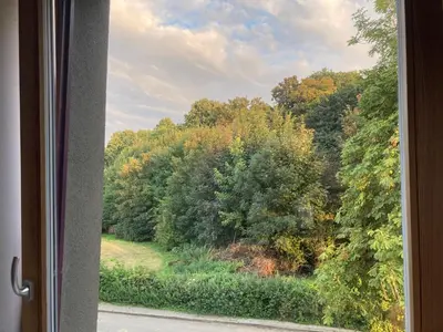 a window with a view of a forest of trees at Nice flat near Brussels in Dilbeek