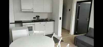 a white kitchen with a table and a table and a couch at Bruxelles midi flat in Brussels