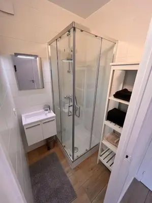 a bathroom with a shower and a sink at Flat moderne et lumineux in Brussels