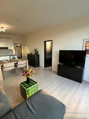 a living room with a couch and a flat screen tv at Central Apartment with City Park View and Terrace in Antwerp