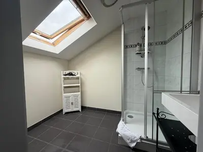 a bathroom with a shower and a sink and a skylight at Dreamland in Zaventem