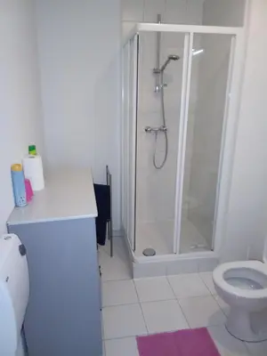 a bathroom with a shower and a toilet at LUX Appartment in BXL Center in Brussels