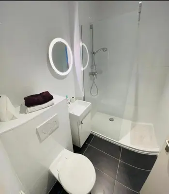 a white bathroom with a toilet and a shower at Surplombant louisa in Brussels