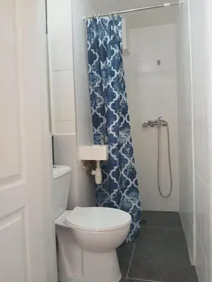 a bathroom with a toilet and a shower curtain at Assenaar in Asse