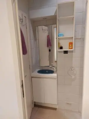 a small bathroom with a sink and a mirror at Charming Apartment in Haren, Brussels - 40 sqm of Comfort in Brussels