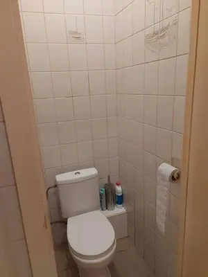 a small bathroom with a white toilet in it at Charming Apartment in Haren, Brussels - 40 sqm of Comfort in Brussels