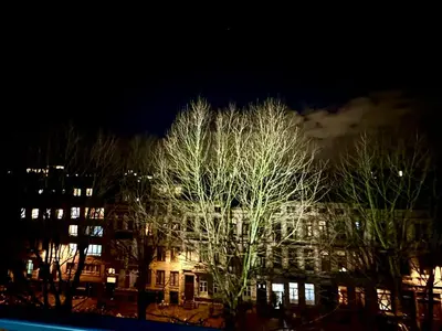 a tree in front of a building at night at Luxury Suites Park by Rikas Hotels in Antwerp