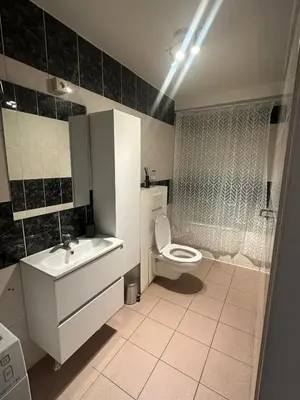 a bathroom with a toilet and a sink and a shower at La belle étoile de Bruxelles in Brussels