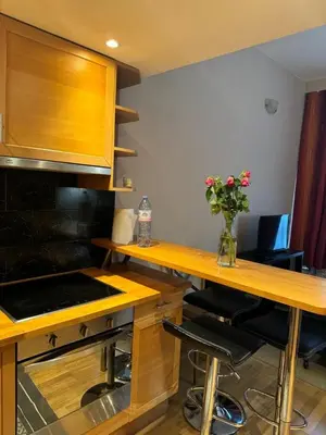 a kitchen with a counter with a vase of flowers at Lisa appartement Brussels in Brussels