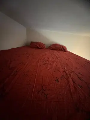 a red bed with two pillows on top of it at Lisa appartement Brussels in Brussels
