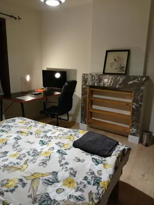 a bedroom with a bed and a desk with a computer at Dorpje in Asse