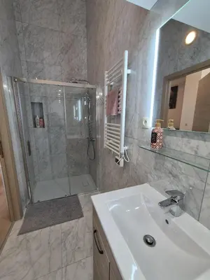 a bathroom with a sink and a shower with a glass door at Tasson Snel apartment center of Brussels in Brussels