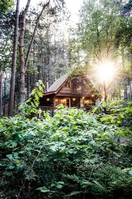 a log cabin in the woods with the sun shining at Tjiftjaf in Retie