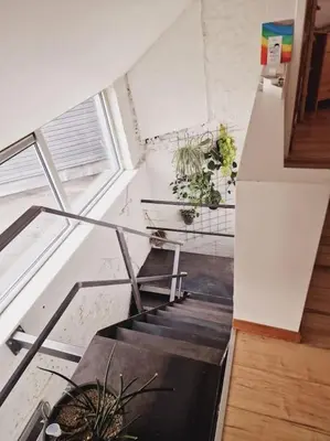 a room with stairs and potted plants on the wall at Lightful architectural house in Ghent