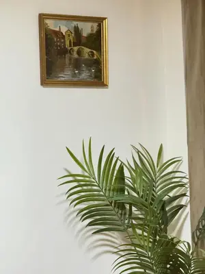 a plant sitting next to a picture on a wall at Appartement n4 Bruxelles Centre Ville in Brussels