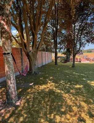 a group of trees with hammocks in a park at Kindvriendelijke vakantiewoning Happy Cow-ter in Belsele