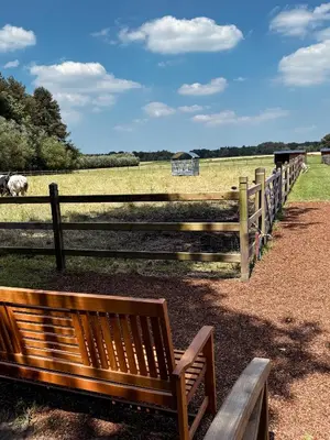 a wooden bench in front of a fence with cows in a field at Kindvriendelijke vakantiewoning Happy Cow-ter in Belsele