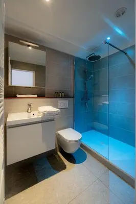 a bathroom with a sink and a toilet and a shower at 8z dreamz in Ghent