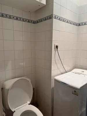 a bathroom with a toilet and a water hose at B&B appartement in Brussels
