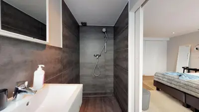 a bathroom with a shower and a white sink at Villa Sablon in Brussels