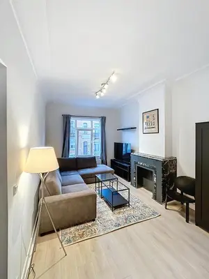 a living room with a couch and a fireplace at Magnifique appartement une chambre in Brussels
