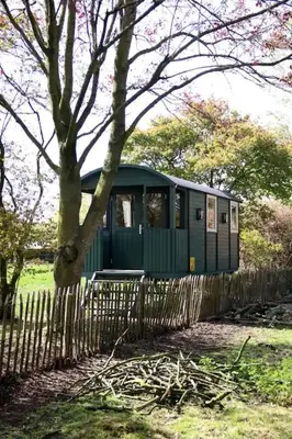 a green train car sitting behind a fence at Peace in Assenede
