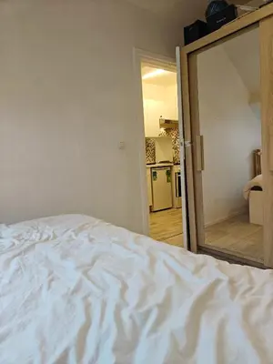a bedroom with a white bed and a mirror at Acacia Etterbeek in Brussels