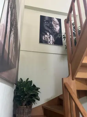 a staircase with two pictures and a potted plant at Friend House in Brussels