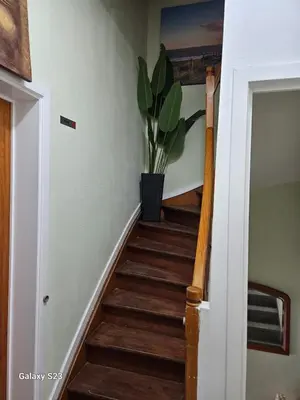 a stairway with a potted plant on the wall at Friend House in Brussels