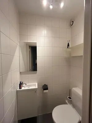 a white bathroom with a toilet and a sink at Duplex appartement, Burcht in Zwijndrecht