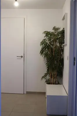 a hallway with a plant in a white cabinet at Magnifique penthouse ERASME in Brussels