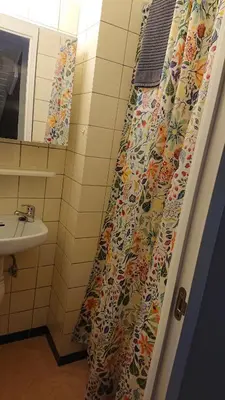 a bathroom with a shower curtain and a sink at Tregadata guesthouse in Overijse