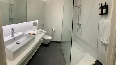 a bathroom with a sink and a toilet and a shower at Boutique hotel-restaurant De Lindehoeve in Tessenderlo